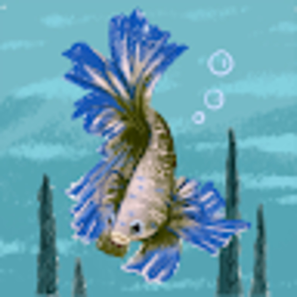 Meet your Posher, Alejandro